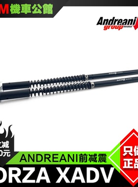 ANDREANI 安德烈尼 前减震 适用于XADV750 佛沙750 改装 前避震芯