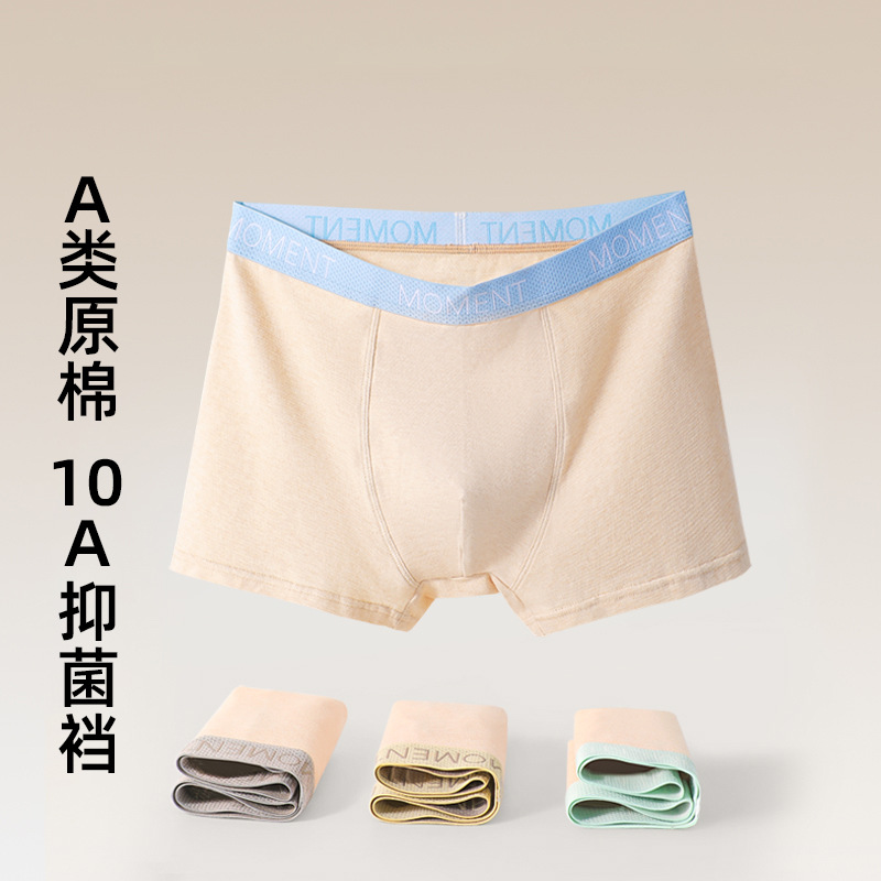 10A抑菌青少年男童纯棉a类内裤