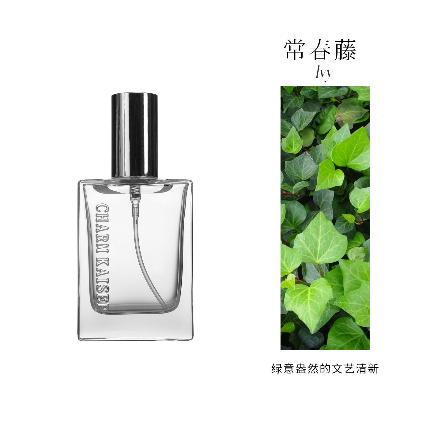 气味博物馆常春藤香氛热卖