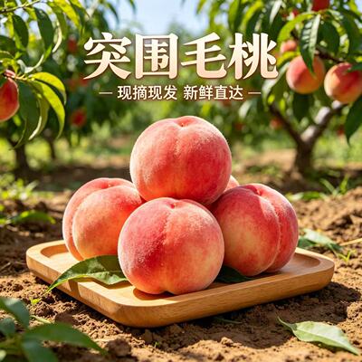 突围新鲜超甜水蜜桃5斤