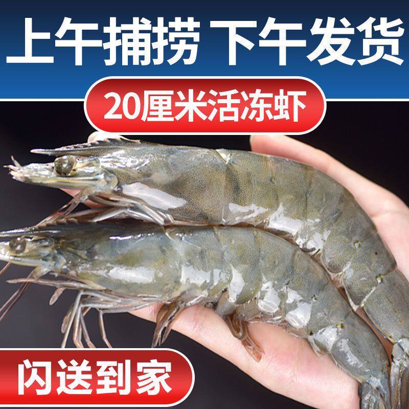 1kg青岛特大虾冷冻鲜对虾速冻海捕虾水产年货