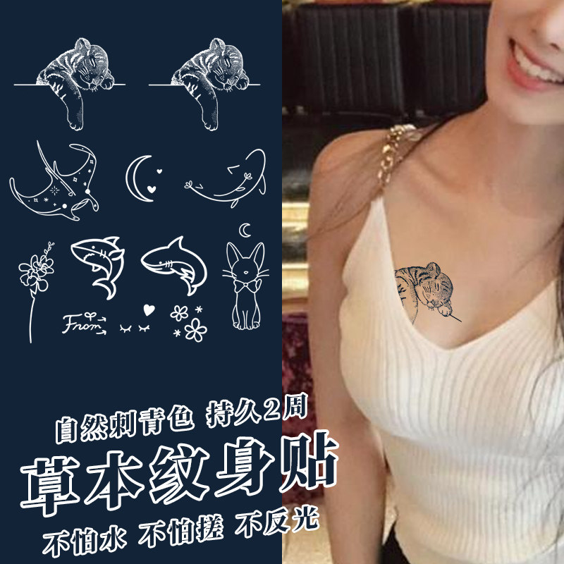 五张小老虎草本果汁纹身男女防水