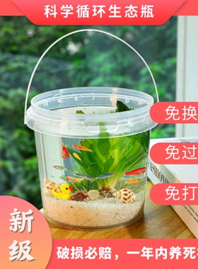 桌面生态瓶塑料微景观自循环免打理换水diy材料小鱼缸生物作业