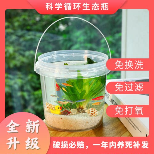 科学生态瓶diy材料学生作业