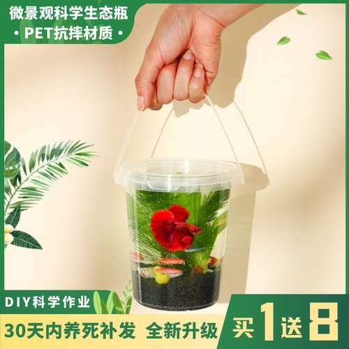 生态瓶DIY小鱼手提塑料微景活体