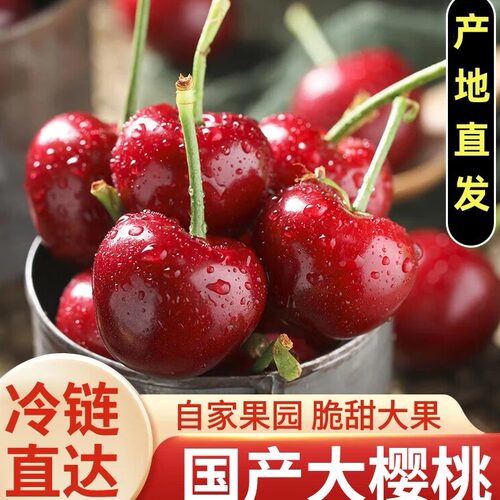 自家果园冷链直达锁住新鲜