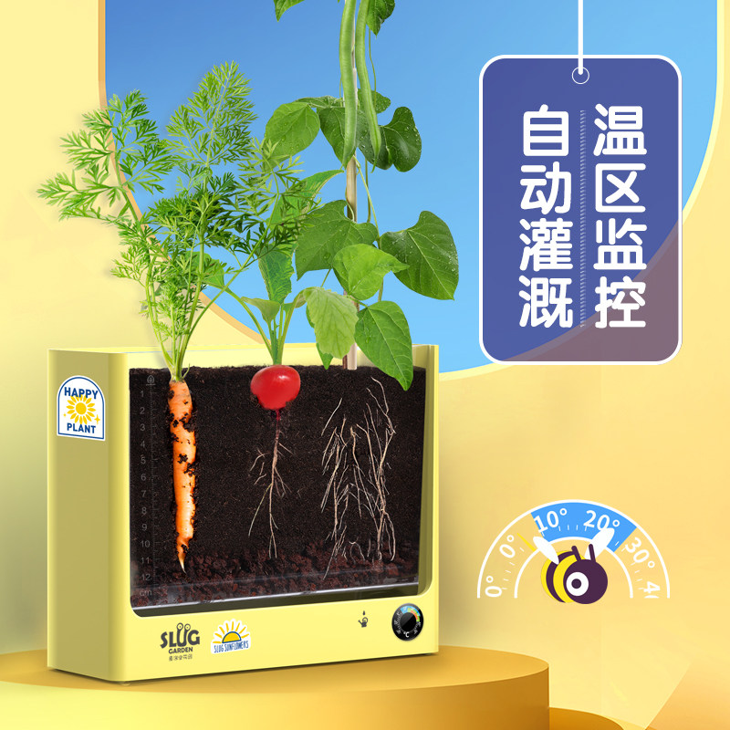 鼻涕虫花园六一儿童节礼物礼盒儿童植物观察窗种植小盆栽阳光房