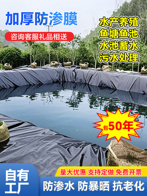 鱼鱼池护坡专用膜加厚防渗地膜