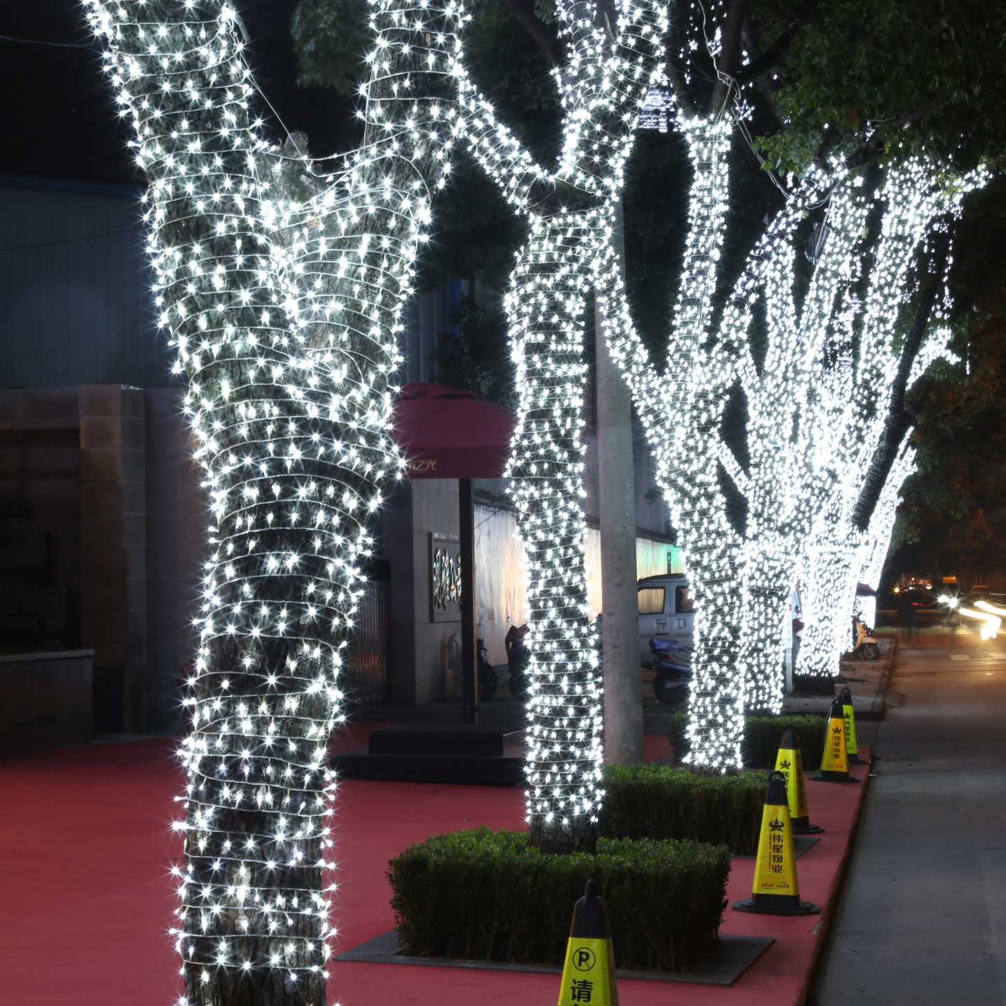 珠海中山挂在树上的灯饰