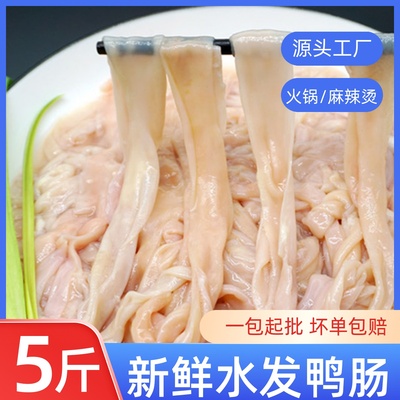 鸭肠生冷冻新鲜火锅鸭肠商用