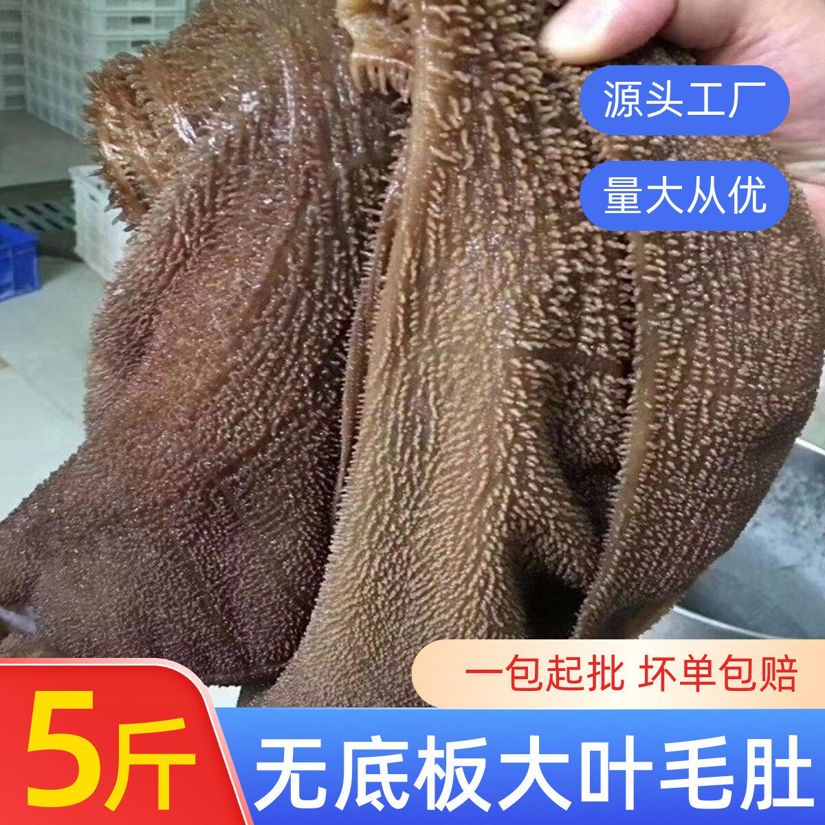 新鲜毛肚5斤火锅食用食材牛百叶大刀叶片商用牛肚冰鲜冷藏冷冻