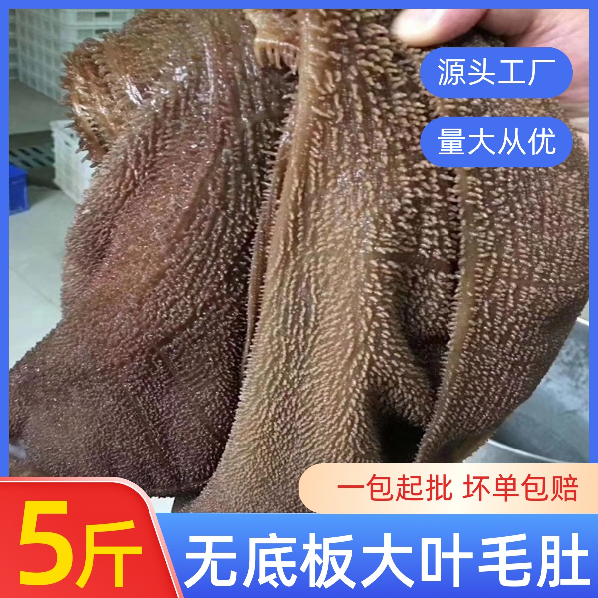 新鲜毛肚大叶片5斤火锅食材