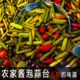 酱腌蒜苔腌制农家咸菜酱菜大全腌小菜下饭菜小包装 开袋即食下饭菜