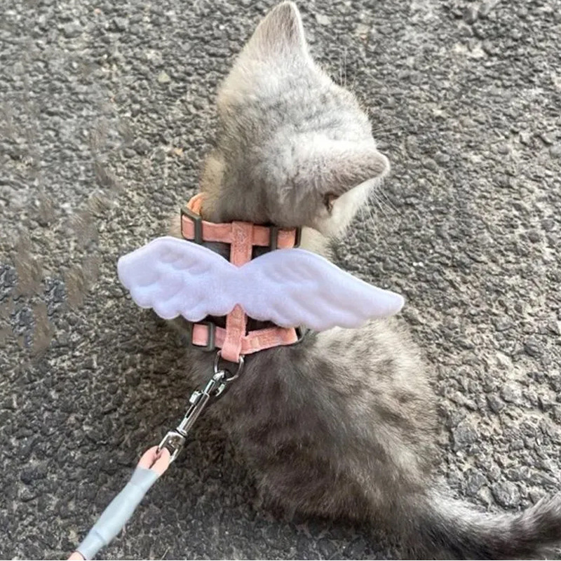 猫咪牵引绳防挣脱外出遛猫绳猫链子小狗胸背带兔子幼猫猫绳子