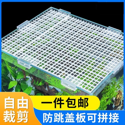 隔板龟缸盖板防跳网透明黑白色网格板加密隔离网隔板底滤板