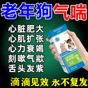匹莫苯丹狗狗心脏药宠物心脏肥大辅酶q10治猫咪咳气喘嗽心泰乐