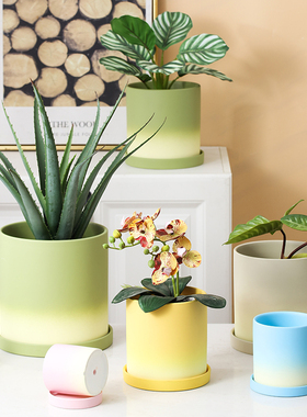 陶瓷花盆绿萝蝴蝶兰多肉渐变简约大号创意个性兰花文竹容器带托盘