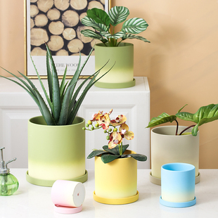 陶瓷花盆绿萝蝴蝶兰多肉渐变简约大号创意个性兰花文竹容器带托盘