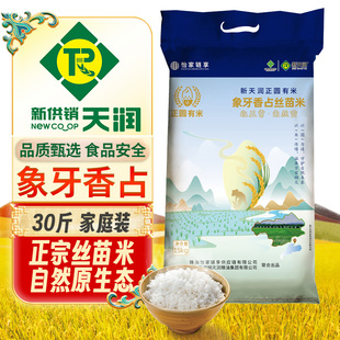 新天润正圆有米 南雄象牙香占丝苗米 中小学生营养定制 15kg