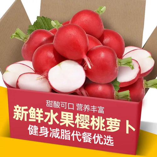新鲜樱桃萝卜5-9斤迷你小红萝卜