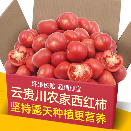 山东寿光爆汁自然熟西红柿