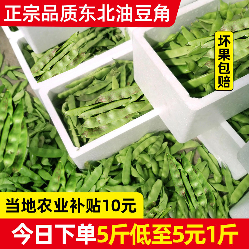 正宗东北油豆角现摘新鲜蔬菜5斤一点红油豆角九月青黑龙江包邮10,水产肉类/新鲜蔬果/熟食,新鲜豆类,淘宝优惠券,粉丝福利购,淘宝优惠卷