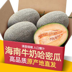 正宗海南哈密瓜5-9斤装当季新鲜水果包邮现摘网纹瓜海南西州蜜瓜5