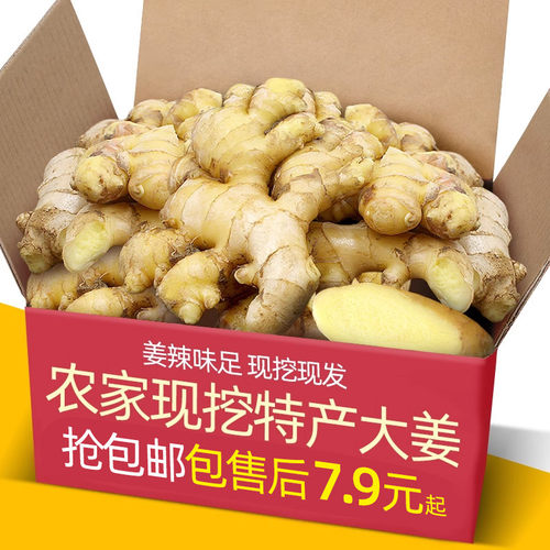 新鲜农家小黄姜农家生姜