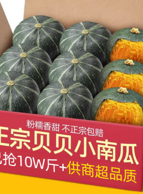 正宗板栗味贝贝小南瓜5斤小南瓜栗面老瓜新鲜婴儿粉糯香甜山东