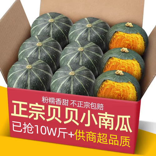 正宗山东板栗味贝贝小南瓜