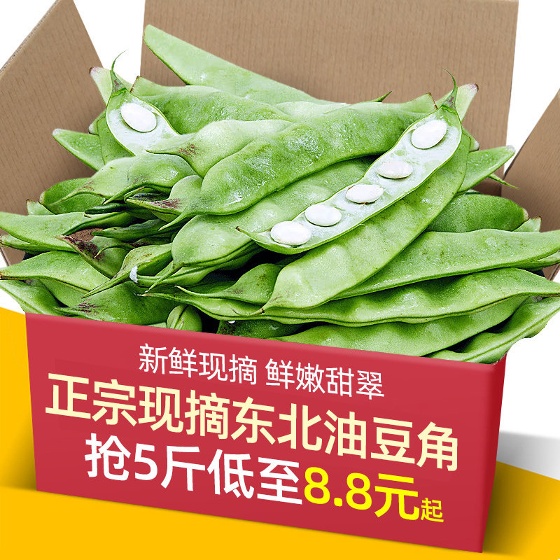 正宗供超市品质东北油豆角5斤现摘新鲜蔬菜一点红油豆角九月青10,水产肉类/新鲜蔬果/熟食,新鲜豆类,淘宝优惠券,粉丝福利购,淘宝优惠卷