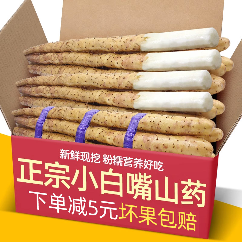 正宗新鲜现挖小白嘴山药5斤蔬菜铁杆淮山铁棍山药10非温县垆土 水产肉类/新鲜蔬果/熟食 新鲜山药 原图主图