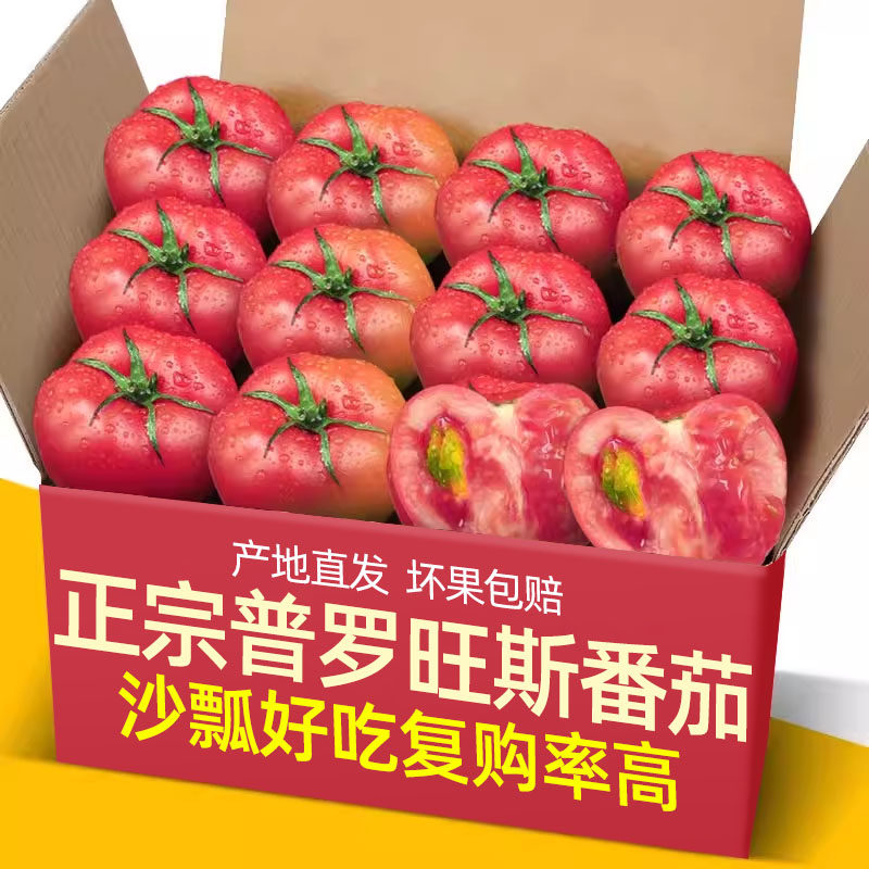 正宗普罗旺斯沙瓤西红柿5斤彩箱装自然熟非铁皮柿子水果大番茄