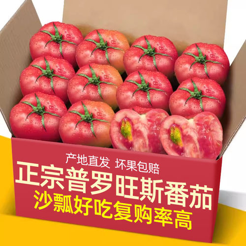 正宗普罗旺斯沙瓤西红柿