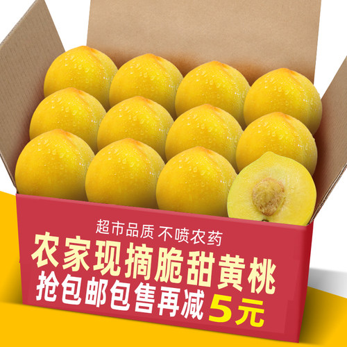 正宗桃子现摘黄桃5斤清甜