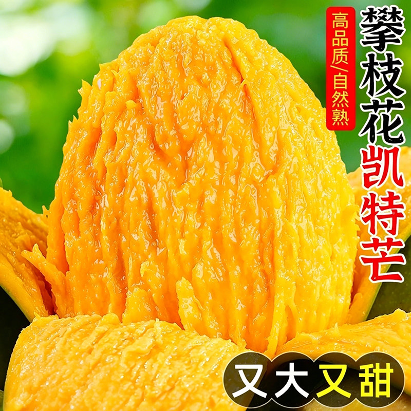 正宗攀枝花凯特大芒果