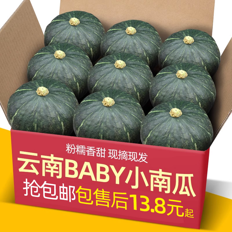 云南贝贝板栗BABY小南瓜9斤