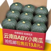 正宗云南贝贝板栗BABY小南瓜9斤装 宝宝辅食日本新鲜栗面粉糯老瓜