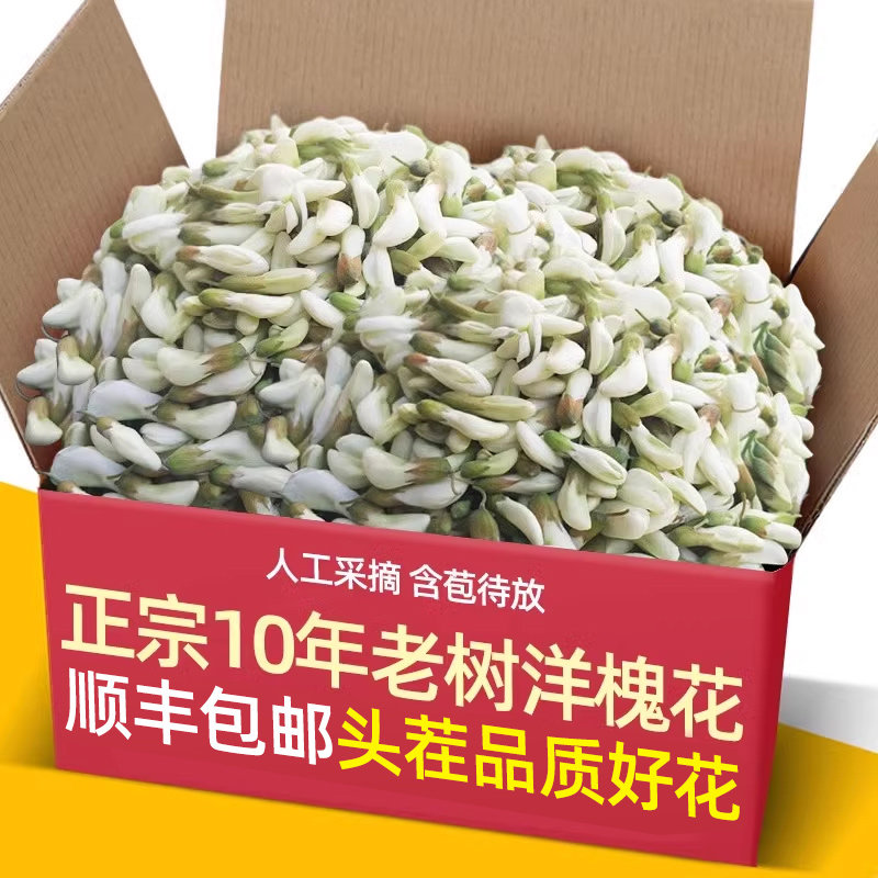 正宗现摘新鲜10年老树洋槐花4斤应当季蔬菜野菜刺槐米杨槐花骨朵