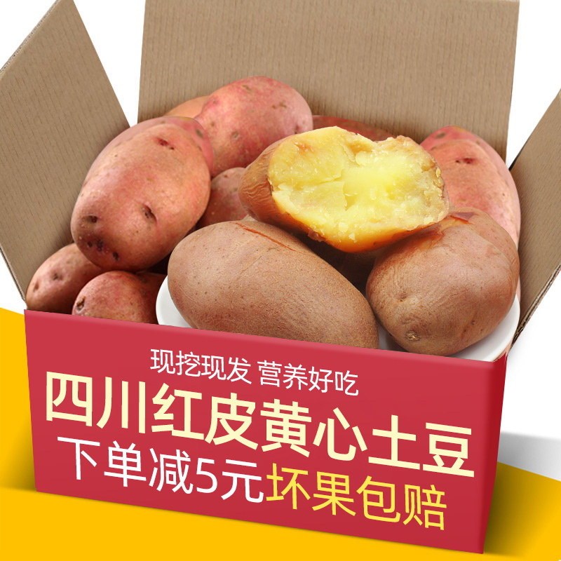 现挖农家四川红皮黄心土豆5-9斤装新鲜洋芋马铃薯云南高山土豆