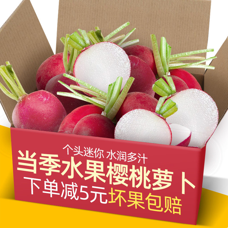 新鲜樱桃萝卜红丁当季水果