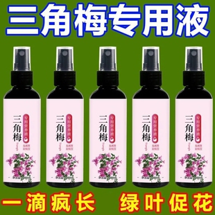 月月开花】三角梅专用营养液治黄叶枯萎落叶不开花催芽促花叶面肥