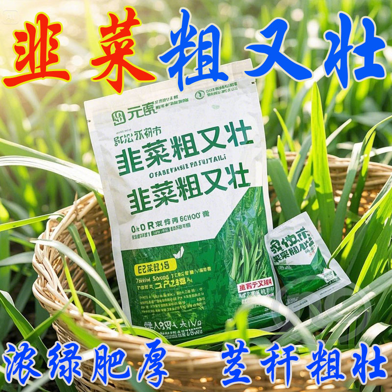 韭菜粗又壮中量元素水溶肥增根壮苗抗倒伏预防干尖黄叶韭菜营养士