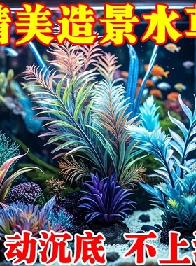 鱼缸造景装饰仿真水族水草海草水族箱布景植物摆件古法造景鱼缸