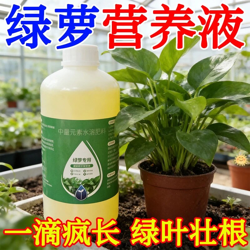 绿萝专用营养液防黄叶促长