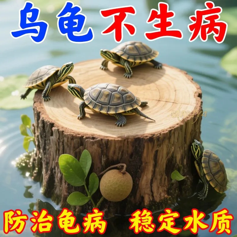 【专业养龟】养龟龙眼木乌龟晒台免煮预防疾病稳定水质晒台休息台图片