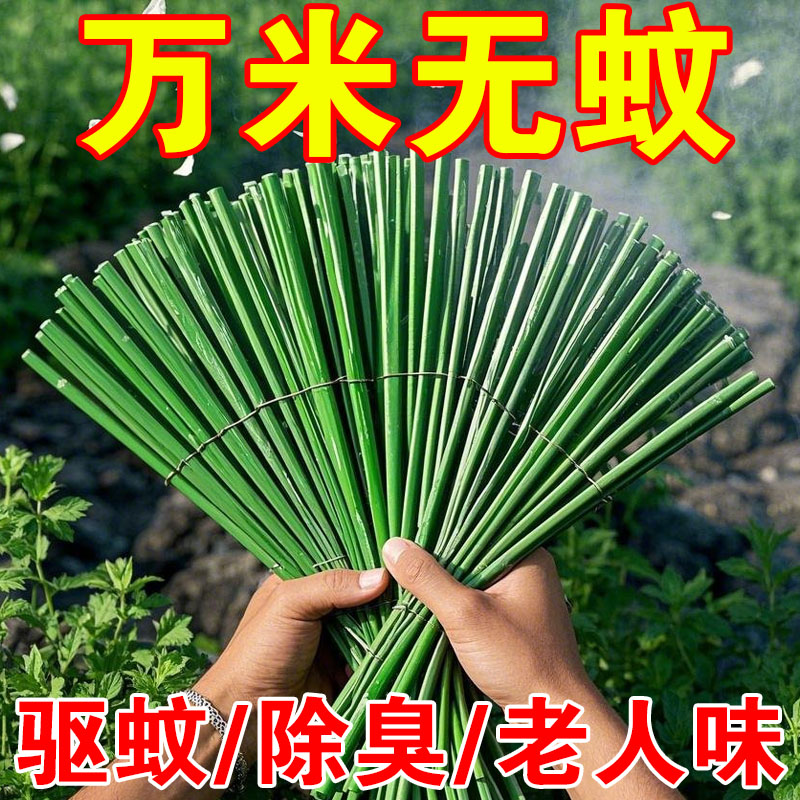 线香纯天然艾草檀香家用中式香薰室内净化空气日系沉香线香香盒