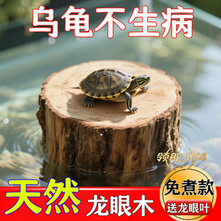 乌龟缸免煮天然龙眼木休息晒台造景龙眼叶摆件养龟专用预防病害