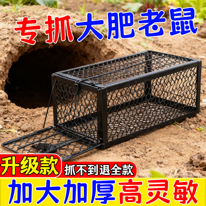 家用双弹簧捕鼠笼加厚金属设施内老鼠捕捉工锯捕鼠器商用餐饮店