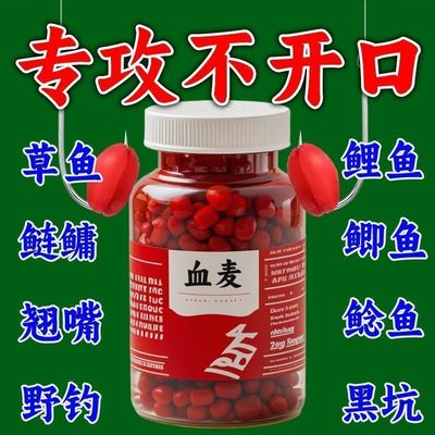 钓鱼小麦粒血麦鱼饵钓鱼饵野钓鲫鱼鲤鱼四季通杀红虫颗粒香味浓郁
